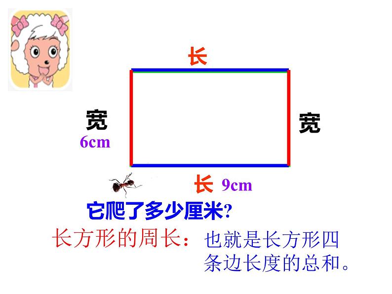 西师大版三年级数学上册 7.2 长方形、正方形的周长课件PPT第4页