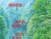 7.4 綜合與實踐-節(jié)約1粒米（7）（課件）數(shù)學四年級上冊-西師大版
