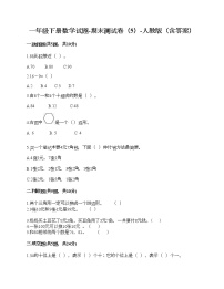 一年级下册数学试题-期末测试卷（5）-人教版（含答案）