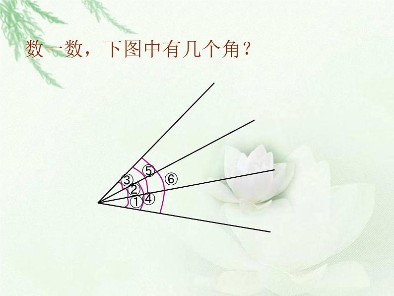 四年级上册数学课件-6.2 参观花圃（3）-北师大版第3页