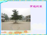 四年级上册数学课件-3.4 有趣的算式（7）-北师大版