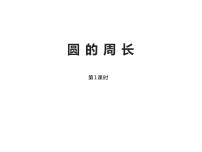 小学数学西师大版六年级上册圆的周长示范课课件ppt