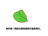 西师大版三年级数学上册 7.1 认识周长课件PPT