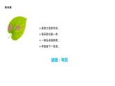 西师大版三年级数学上册 6.1 年、月、日课件PPT