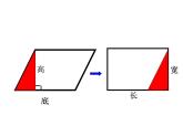 西师大版五年级数学上册 5.2 三角形的面积课件PPT