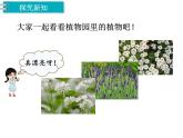 冀教版数学四上：3.5 参观植物园 PPT课件