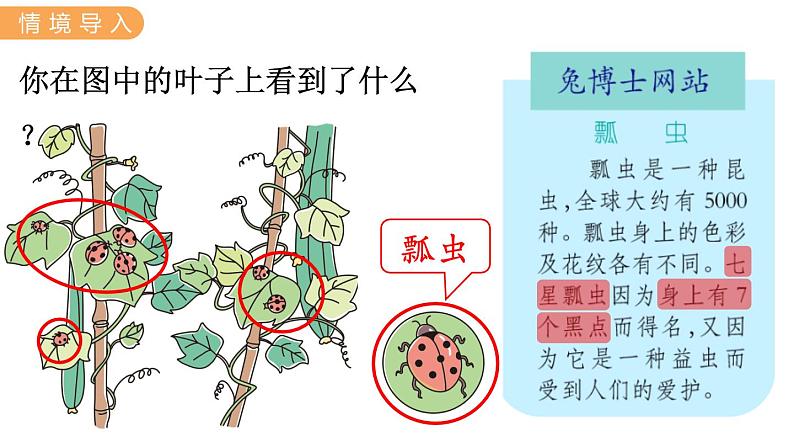 表内乘法和除法（二）PPT课件下载02
