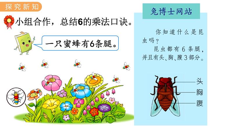 3.6  6的乘法口诀 PPT课件+教案03