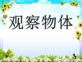 西師大版二年級(jí)數(shù)學(xué)上冊(cè)課件 4 觀察物體