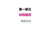动物趣闻---克、千克、吨的认识PPT课件免费下载