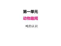 动物趣闻---克、千克、吨的认识PPT课件免费下载