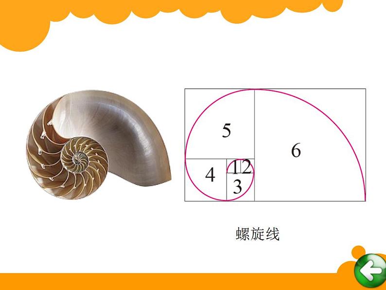 六年级上册数学课件-1.3 欣赏与设计（3）-北师大版05