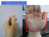 5.5 認識平方千米與公頃（3）（課件）數(shù)學五年級上冊-西師大版