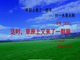 5.2 三角形的面积（5）（课件）数学五年级上册-西师大版