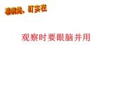 西師大版二年級(jí)數(shù)學(xué)上冊(cè)課件 4 觀察物體