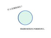 西師大版六年級數(shù)學上冊課件 2.2 圓的周長