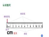 西师大版二年级数学上册课件 5.1 用厘米作单位量长度