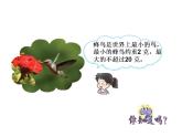 西师大版三年级数学上册课件 1 克、千克、吨