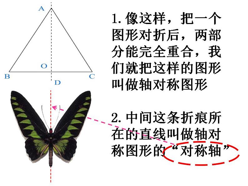 西师大版五年级数学上册课件 2.3 轴对称图形03