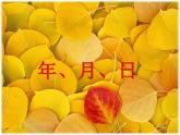 西師大版三年級數(shù)學(xué)上冊課件 6.1 年、月、日