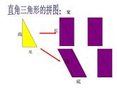 西师大版五年级数学上册课件 5.2 三角形的面积