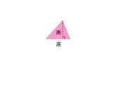 西师大版五年级数学上册课件 5.2 三角形的面积