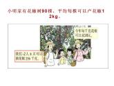 西师大版四年级数学上册课件 7.3 问题解决