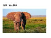 西師大版二年級(jí)數(shù)學(xué)上冊(cè)課件 6.4 倍的認(rèn)識(shí)