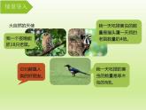 冀教版数学三年级上册 二 两、三位数乘一位数-笔算两位数乘一位数（进位） 课件