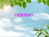 西師大版二年級(jí)數(shù)學(xué)上冊(cè)課件 4 觀察物體