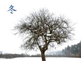 西師大版三年級(jí)數(shù)學(xué)上冊(cè)課件 6.2 24時(shí)計(jì)時(shí)法