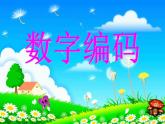 西師大版四年級數(shù)學(xué)上冊課件 1.3 數(shù)字編碼