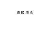 西師大版六年級數(shù)學上冊課件 2.2 圓的周長