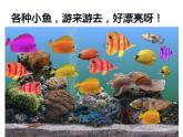 西師大版二年級(jí)數(shù)學(xué)上冊(cè)課件 6.4 倍的認(rèn)識(shí)