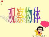 西師大版二年級(jí)數(shù)學(xué)上冊(cè)課件 4 觀察物體