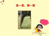 西師大版二年級(jí)數(shù)學(xué)上冊(cè)課件 4 觀察物體