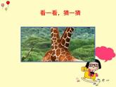西師大版二年級(jí)數(shù)學(xué)上冊(cè)課件 4 觀察物體
