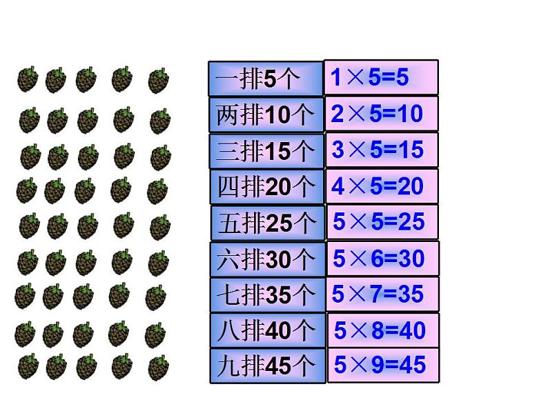 二年级上册数学课件-5.1 数松果（10）-北师大版第6页