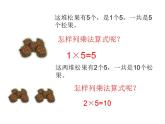 二年级上册数学课件-5.1 数松果（9）-北师大版