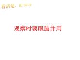 4 观察物体（7）（课件）数学二年级上册-西师大版