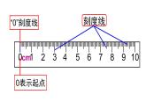 5.1 用厘米作单位量长度（8）（课件）数学二年级上册-西师大版