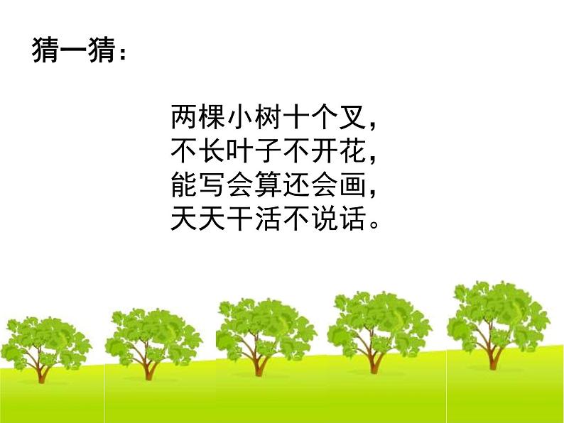 人教版五年级数学上册第七章第一节《植树问题》课件第3页