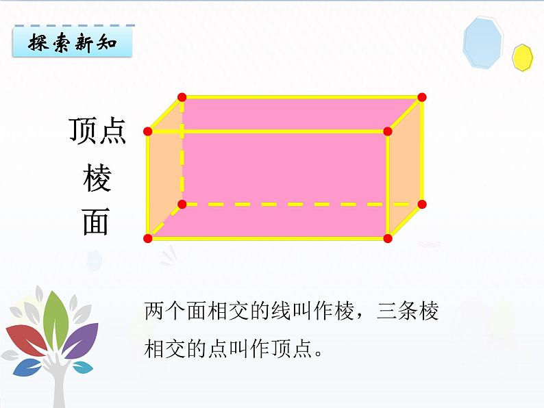 1.1长方体和正方体的认识（课件）-2021-2022学年数学六年级上册 苏教版06