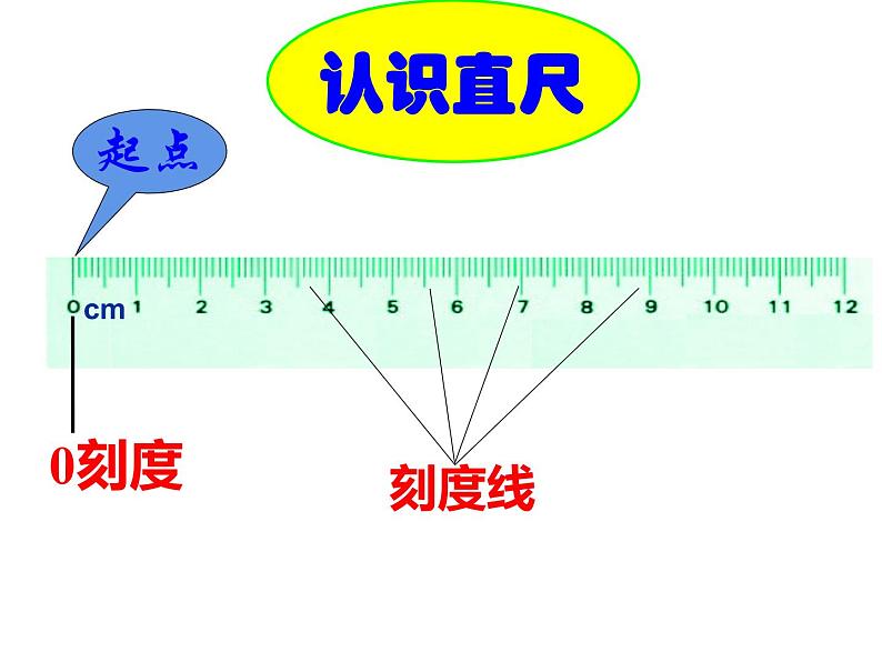 用厘米作单位量长度PPT课件免费下载03