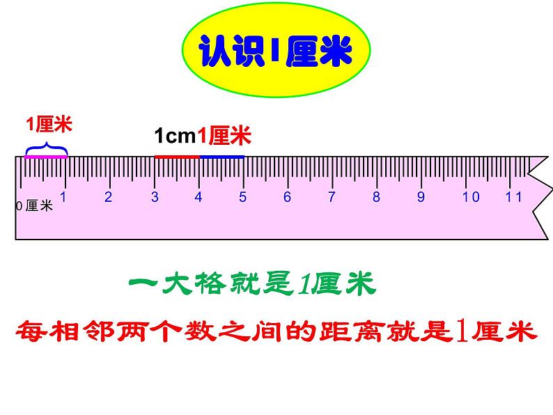 用厘米作单位量长度PPT课件免费下载04