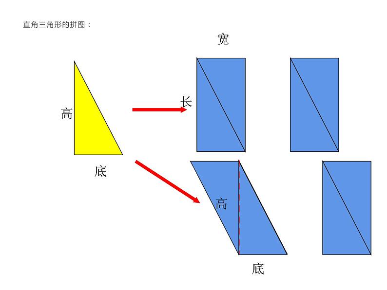 西师大版五年级数学上册课件 5.2 三角形的面积第8页