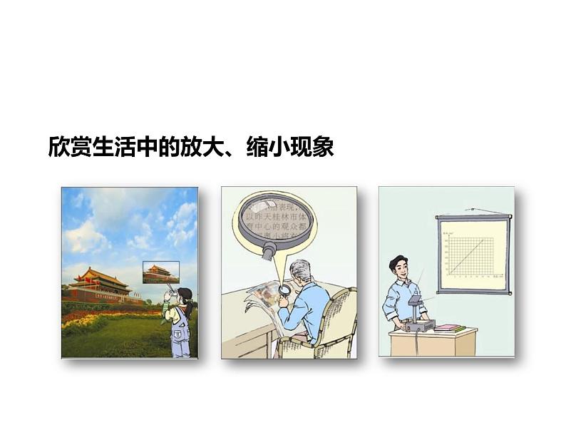 西师大版六年级数学上册课件 5.1 图形的放大或缩小第3页