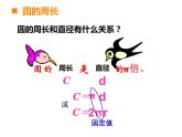 西师大版六年级数学上册课件 2 圆 整理与复习