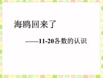 海鸥回来了---11-20各数的认识PPT课件免费下载