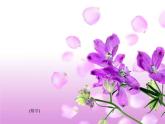 一年級上冊數(shù)學(xué)課件 九 加法和減法（二）_《9加幾》 北京版
